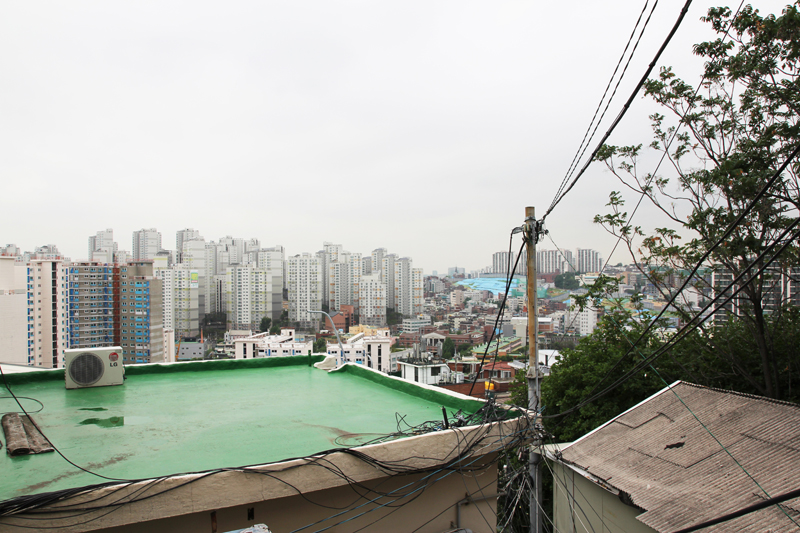 Go up the Hill, 2014