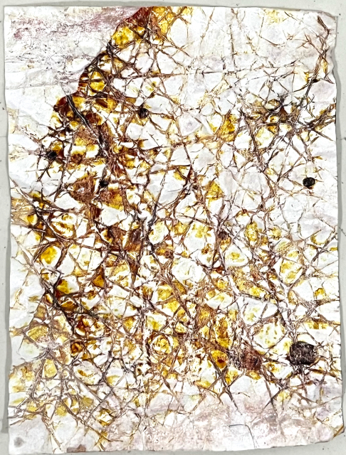 S1_Otherness, 2026